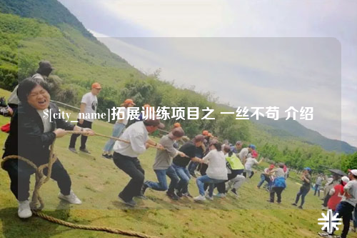 武汉拓展训练项目之 一丝不苟 介绍